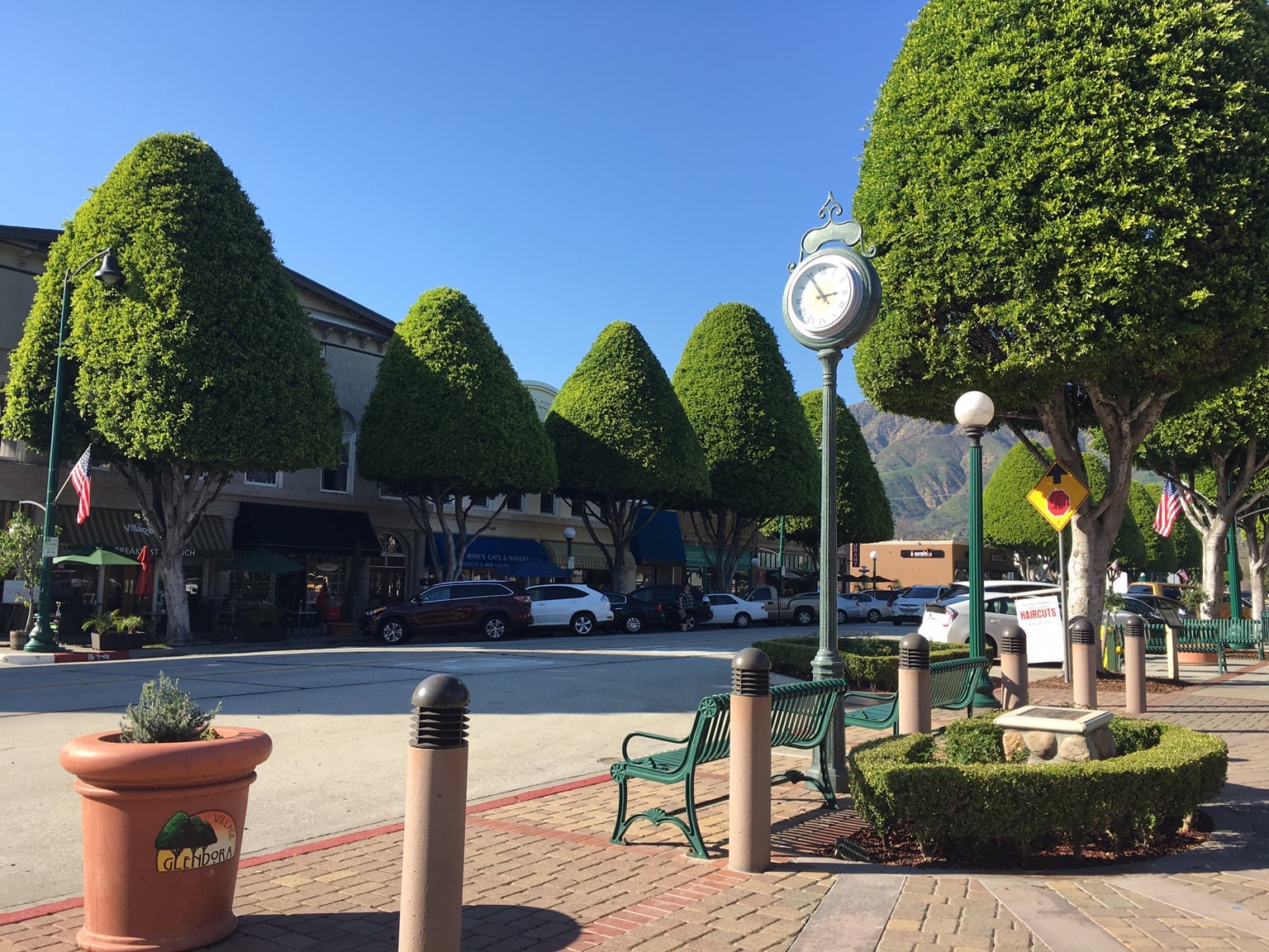 The Village clock and sculpted ficus trees on North Glendora Avenue